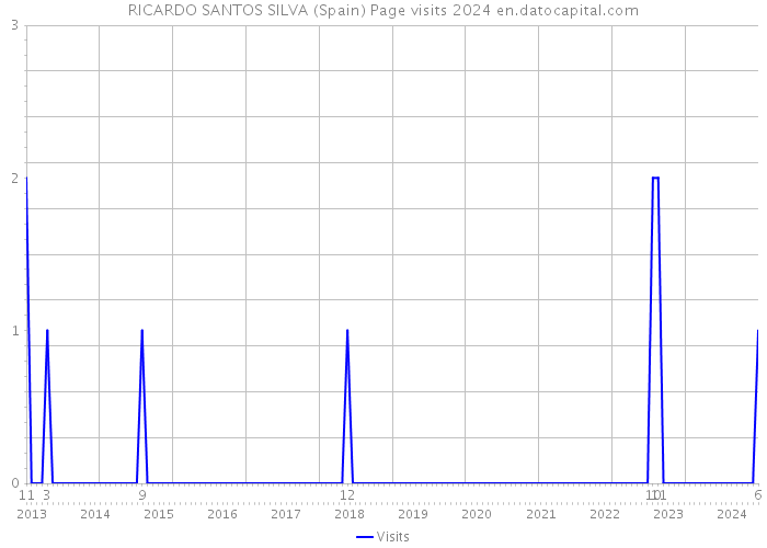 RICARDO SANTOS SILVA (Spain) Page visits 2024 