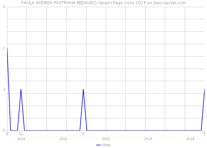 PAULA ANDREA PASTRANA BEDAUDO (Spain) Page visits 2024 