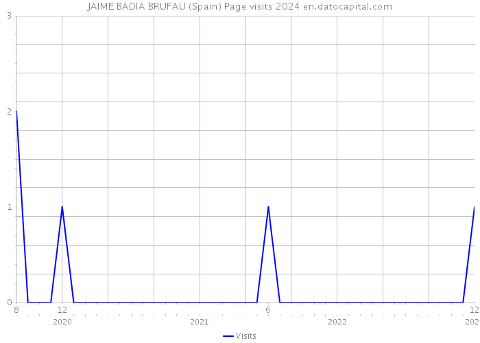 JAIME BADIA BRUFAU (Spain) Page visits 2024 