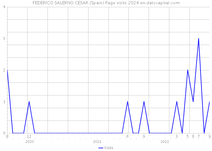 FEDERICO SALERNO CESAR (Spain) Page visits 2024 