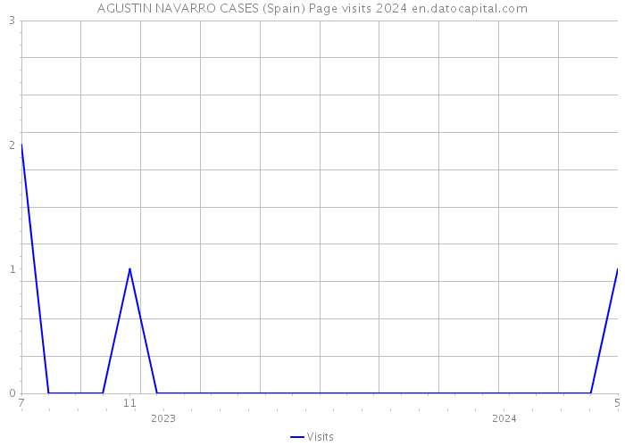 AGUSTIN NAVARRO CASES (Spain) Page visits 2024 