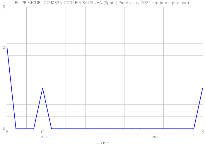 FILIPE MIGUEL COIMBRA CORREIA SALSINHA (Spain) Page visits 2024 