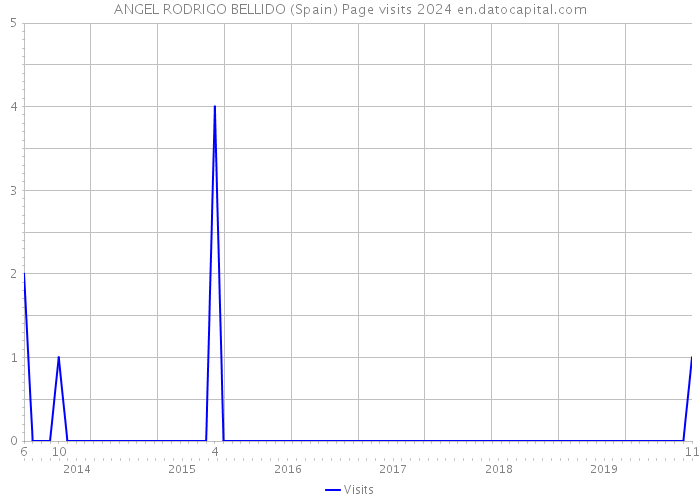 ANGEL RODRIGO BELLIDO (Spain) Page visits 2024 