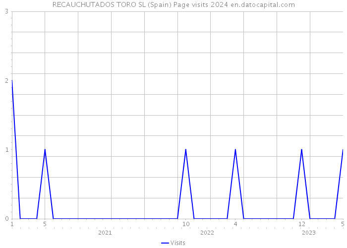 RECAUCHUTADOS TORO SL (Spain) Page visits 2024 