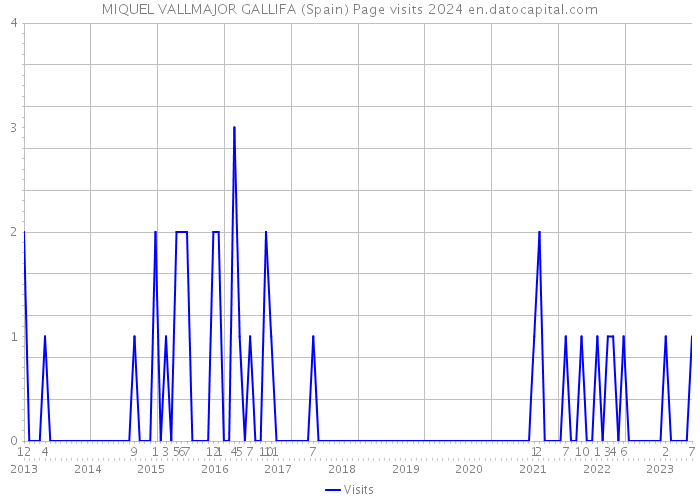 MIQUEL VALLMAJOR GALLIFA (Spain) Page visits 2024 