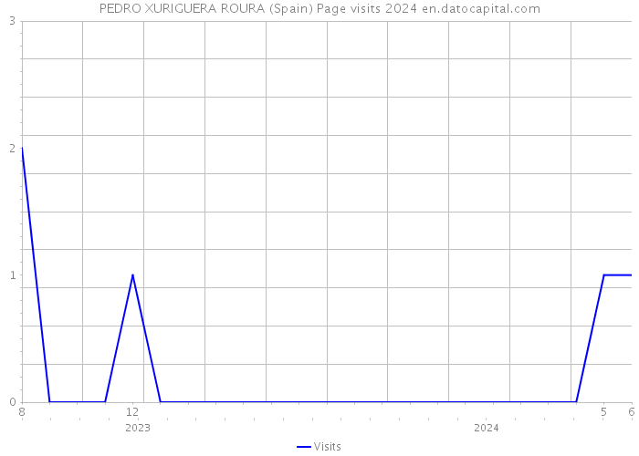 PEDRO XURIGUERA ROURA (Spain) Page visits 2024 