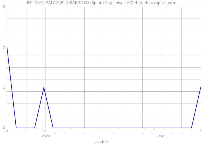 BELTRAN PALAZUELO BARROSO (Spain) Page visits 2024 