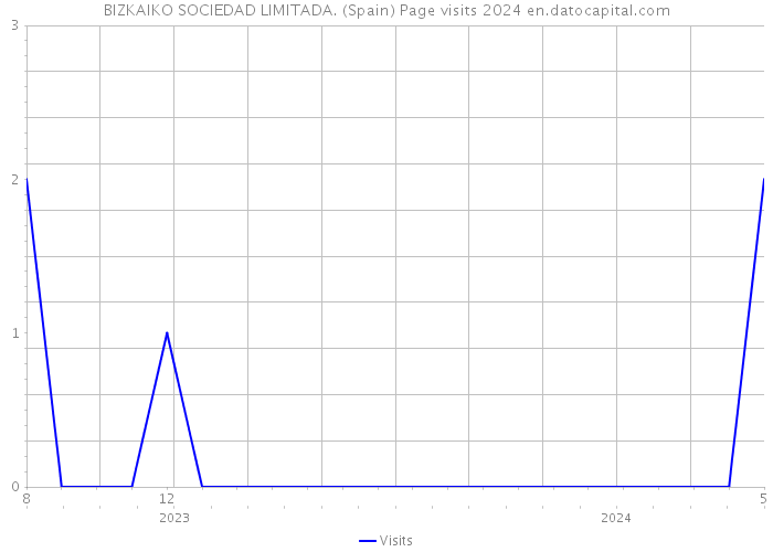 BIZKAIKO SOCIEDAD LIMITADA. (Spain) Page visits 2024 