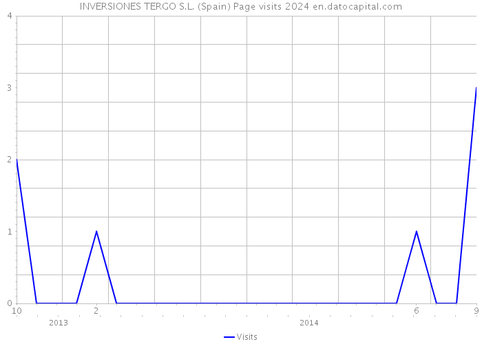 INVERSIONES TERGO S.L. (Spain) Page visits 2024 