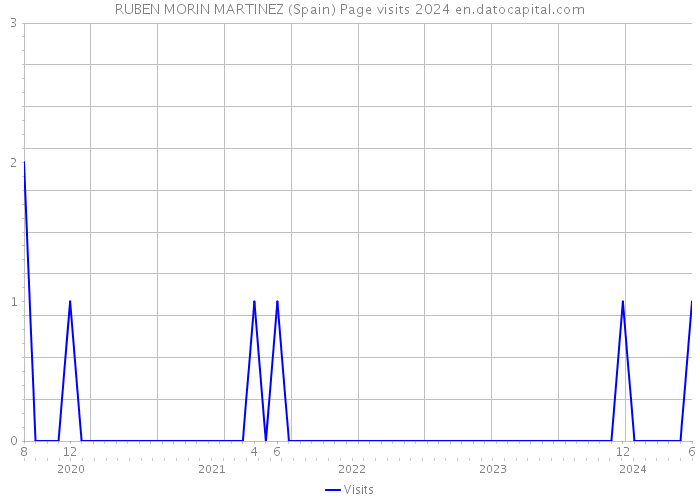 RUBEN MORIN MARTINEZ (Spain) Page visits 2024 