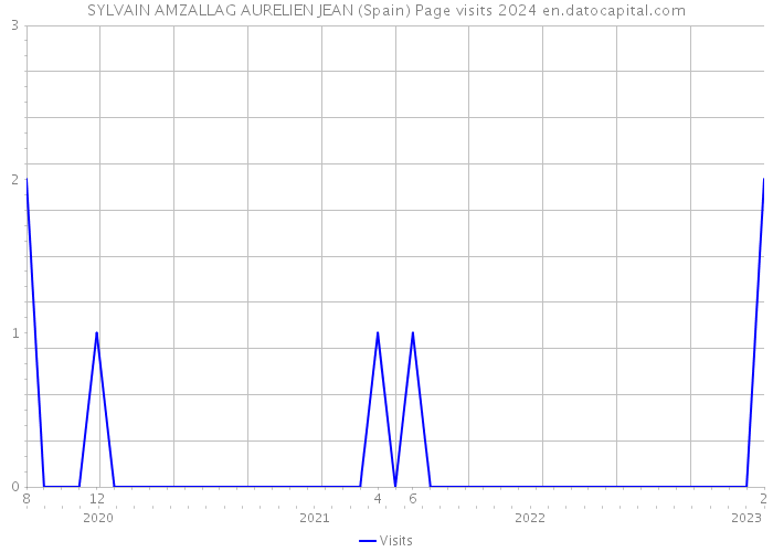 SYLVAIN AMZALLAG AURELIEN JEAN (Spain) Page visits 2024 