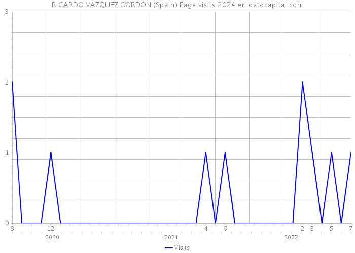 RICARDO VAZQUEZ CORDON (Spain) Page visits 2024 