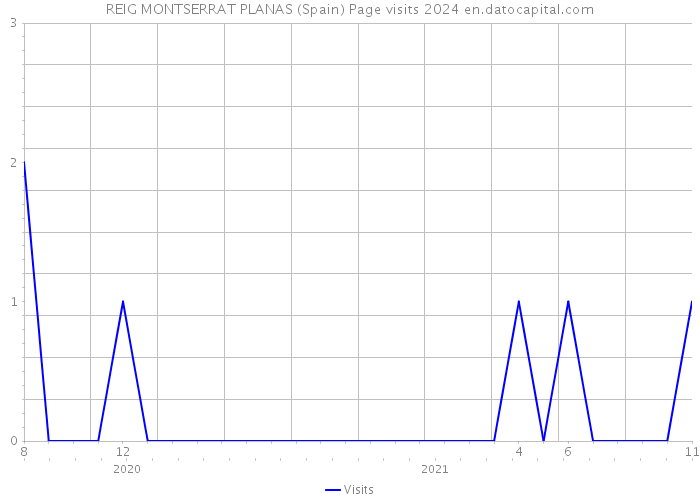 REIG MONTSERRAT PLANAS (Spain) Page visits 2024 