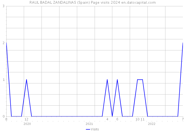 RAUL BADAL ZANDALINAS (Spain) Page visits 2024 