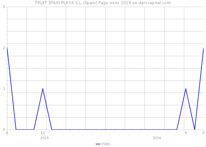 FRUIT SPAIN PLAYA S.L. (Spain) Page visits 2024 