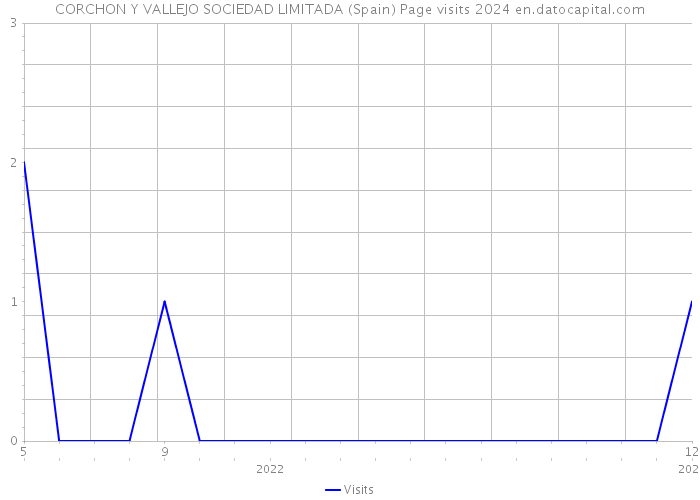 CORCHON Y VALLEJO SOCIEDAD LIMITADA (Spain) Page visits 2024 