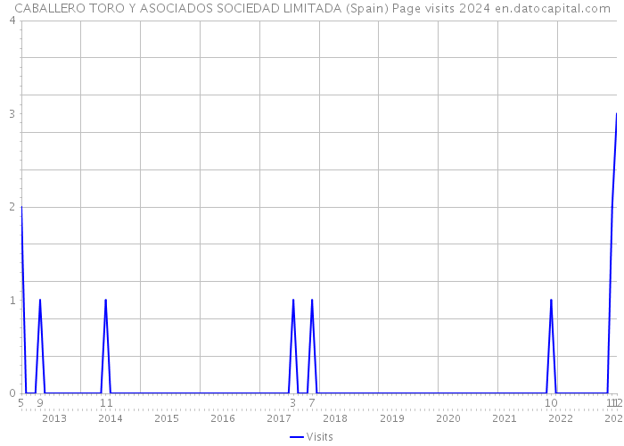 CABALLERO TORO Y ASOCIADOS SOCIEDAD LIMITADA (Spain) Page visits 2024 