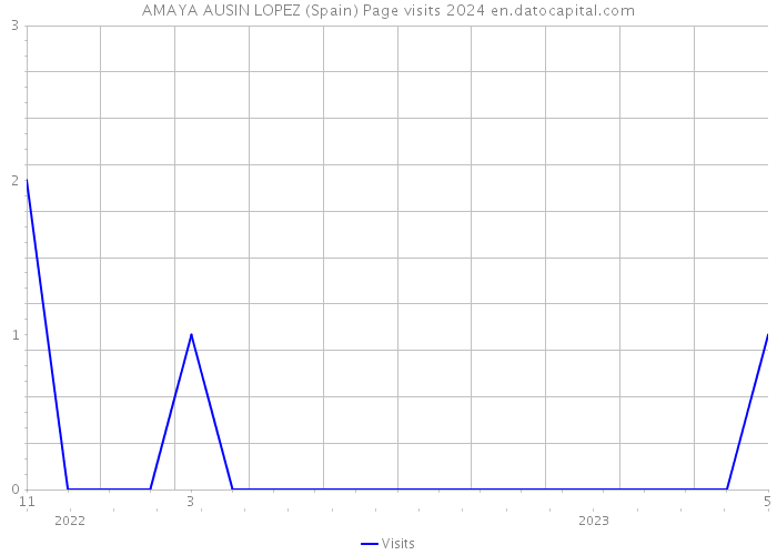 AMAYA AUSIN LOPEZ (Spain) Page visits 2024 