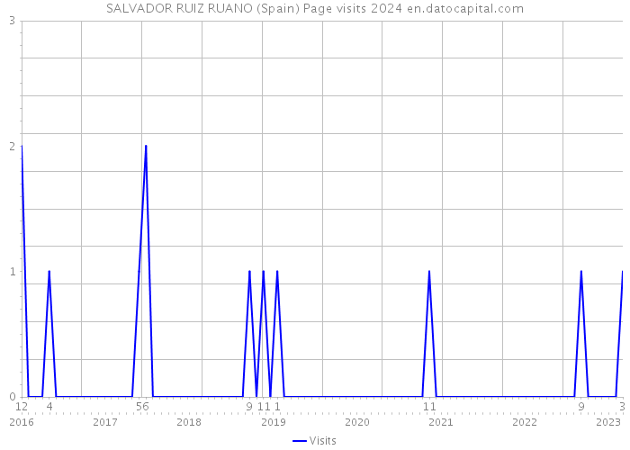 SALVADOR RUIZ RUANO (Spain) Page visits 2024 
