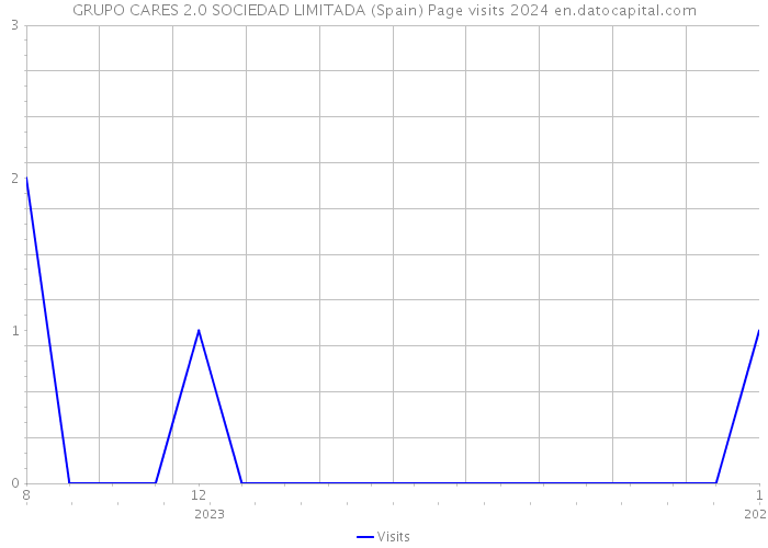 GRUPO CARES 2.0 SOCIEDAD LIMITADA (Spain) Page visits 2024 