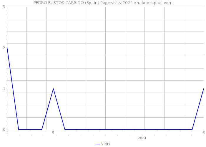 PEDRO BUSTOS GARRIDO (Spain) Page visits 2024 