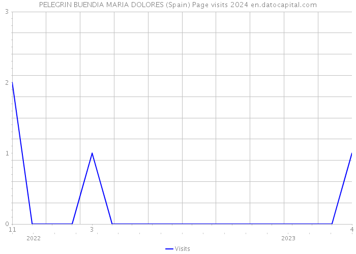 PELEGRIN BUENDIA MARIA DOLORES (Spain) Page visits 2024 