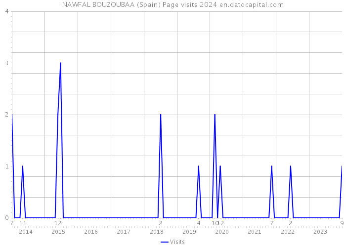 NAWFAL BOUZOUBAA (Spain) Page visits 2024 