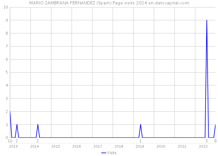 MARIO ZAMBRANA FERNANDEZ (Spain) Page visits 2024 