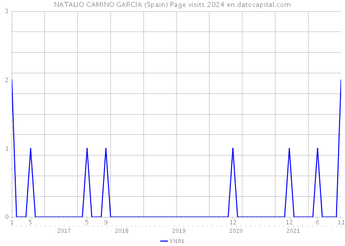 NATALIO CAMINO GARCIA (Spain) Page visits 2024 