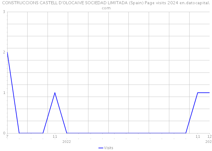 CONSTRUCCIONS CASTELL D'OLOCAIVE SOCIEDAD LIMITADA (Spain) Page visits 2024 