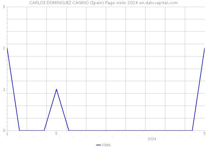CARLOS DOMINGUEZ CANINO (Spain) Page visits 2024 