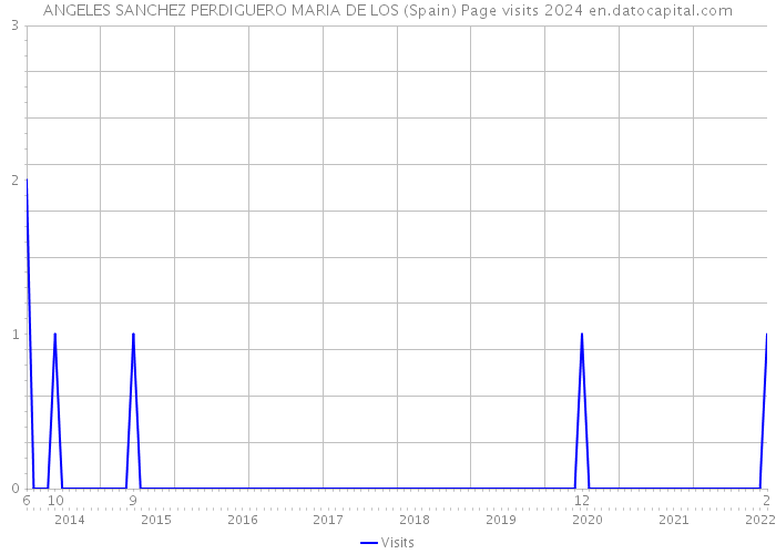 ANGELES SANCHEZ PERDIGUERO MARIA DE LOS (Spain) Page visits 2024 