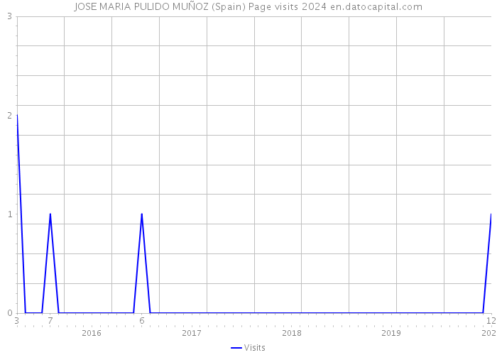 JOSE MARIA PULIDO MUÑOZ (Spain) Page visits 2024 