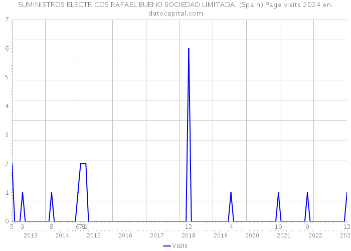 SUMINISTROS ELECTRICOS RAFAEL BUENO SOCIEDAD LIMITADA. (Spain) Page visits 2024 