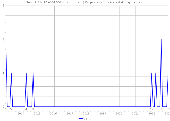 NARSA GRUP ASSESSOR S.L. (Spain) Page visits 2024 