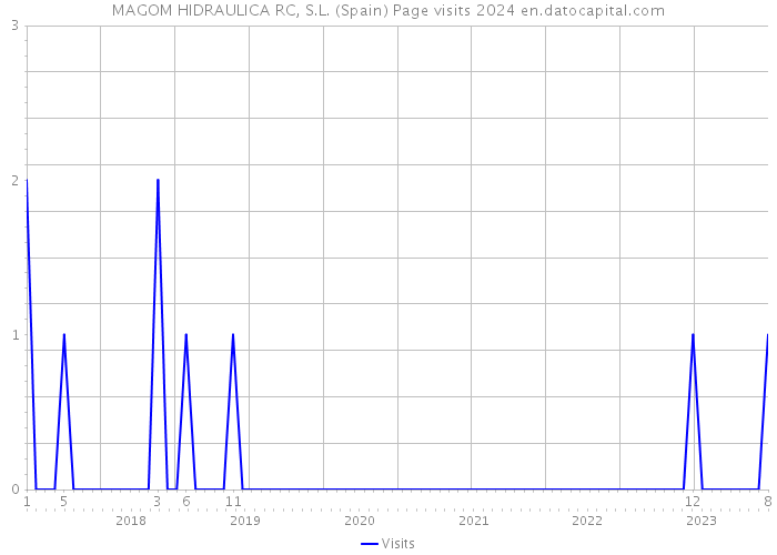 MAGOM HIDRAULICA RC, S.L. (Spain) Page visits 2024 