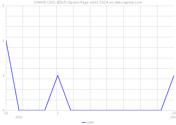 CHANS CAO, JESUS (Spain) Page visits 2024 