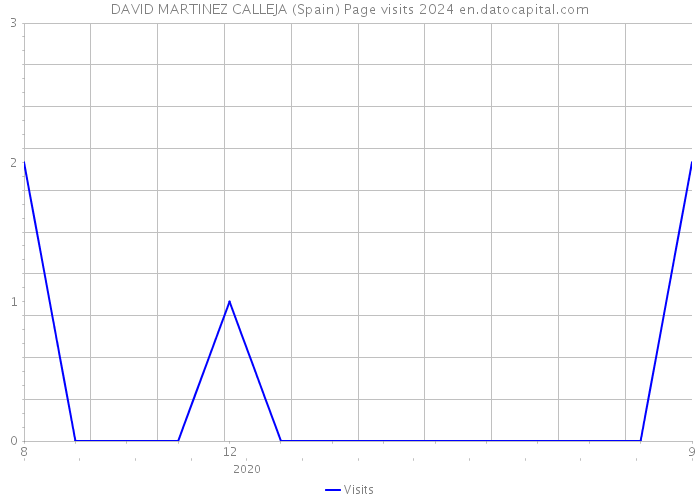 DAVID MARTINEZ CALLEJA (Spain) Page visits 2024 