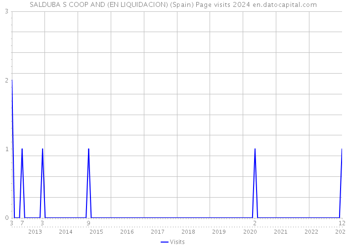 SALDUBA S COOP AND (EN LIQUIDACION) (Spain) Page visits 2024 