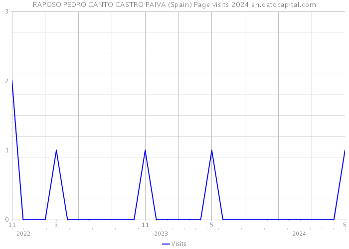 RAPOSO PEDRO CANTO CASTRO PAIVA (Spain) Page visits 2024 