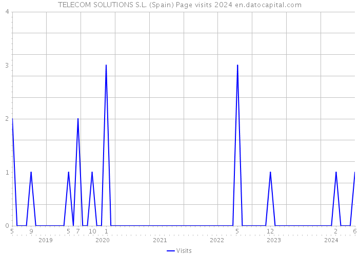 TELECOM SOLUTIONS S.L. (Spain) Page visits 2024 