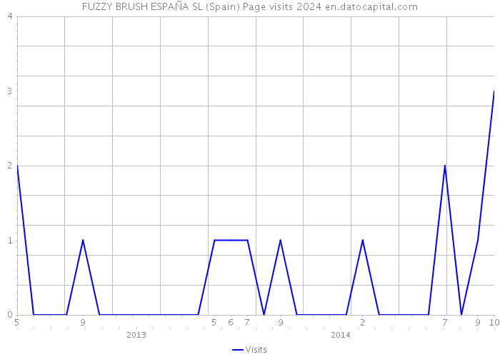FUZZY BRUSH ESPAÑA SL (Spain) Page visits 2024 