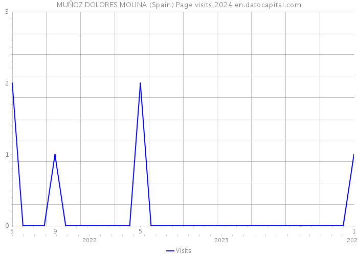 MUÑOZ DOLORES MOLINA (Spain) Page visits 2024 