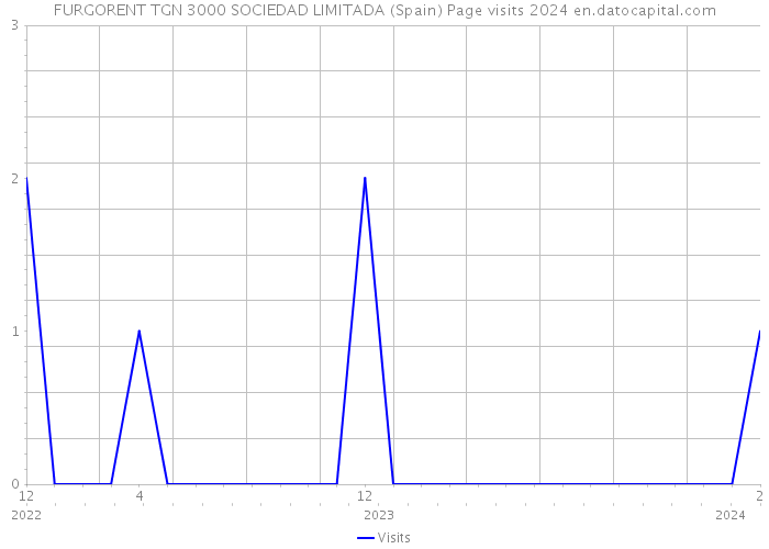 FURGORENT TGN 3000 SOCIEDAD LIMITADA (Spain) Page visits 2024 