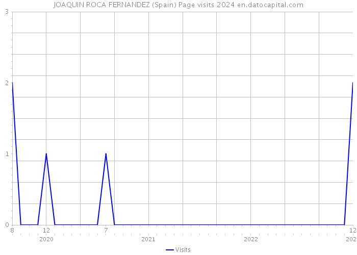 JOAQUIN ROCA FERNANDEZ (Spain) Page visits 2024 