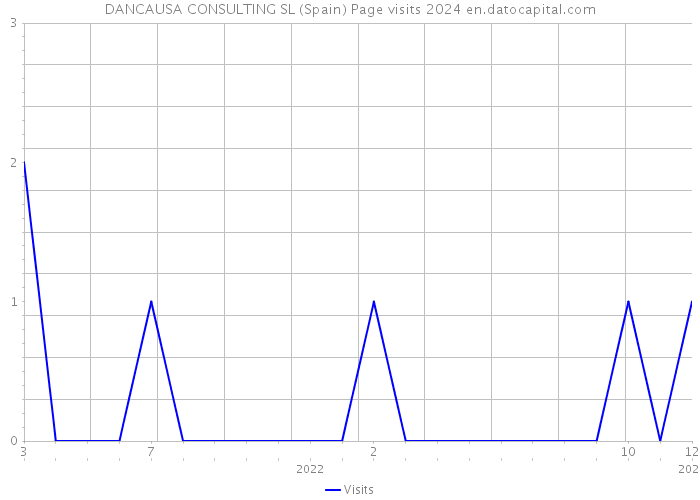 DANCAUSA CONSULTING SL (Spain) Page visits 2024 