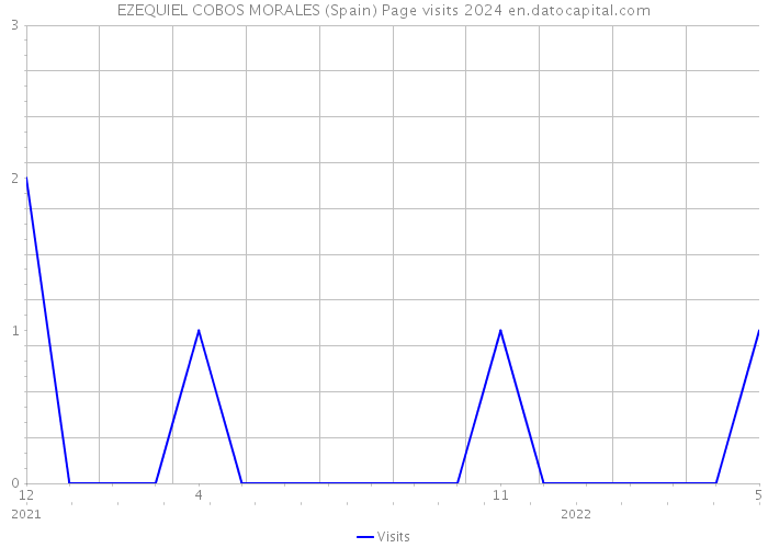 EZEQUIEL COBOS MORALES (Spain) Page visits 2024 