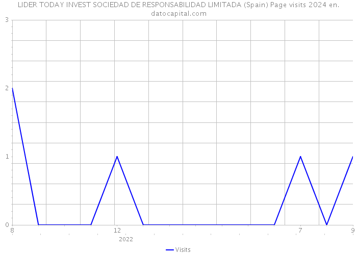 LIDER TODAY INVEST SOCIEDAD DE RESPONSABILIDAD LIMITADA (Spain) Page visits 2024 