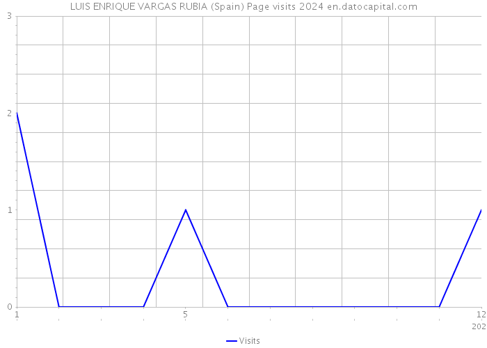 LUIS ENRIQUE VARGAS RUBIA (Spain) Page visits 2024 