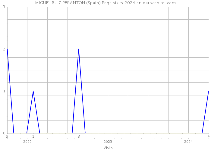 MIGUEL RUIZ PERANTON (Spain) Page visits 2024 